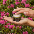 DOLOMIA FLora Lift Anti aging Gesichtscreme reichh